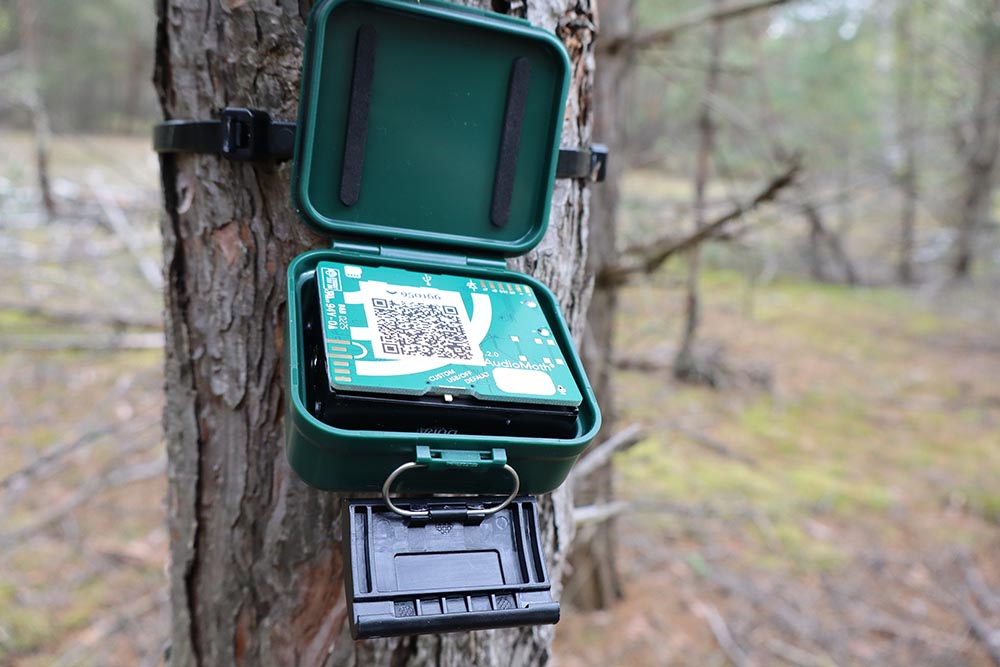 An einem Baum hängt ein technisches Gerät